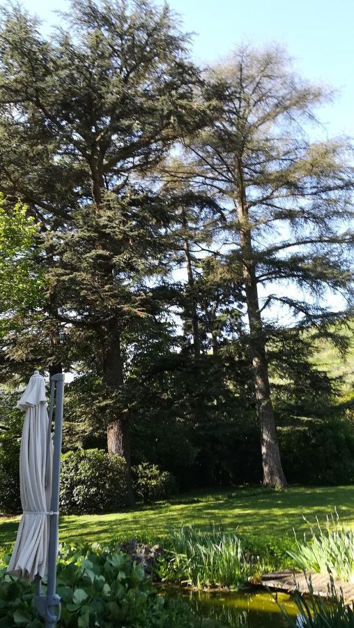 Les Palmiers Bed & Breakfast Mauves Exterior photo